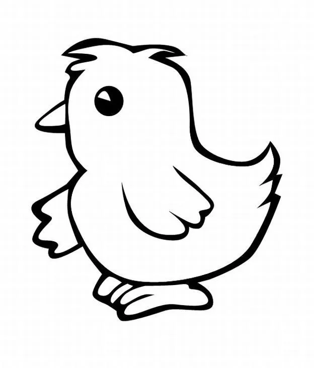 Dibujo del pollo para colorear - Imagui