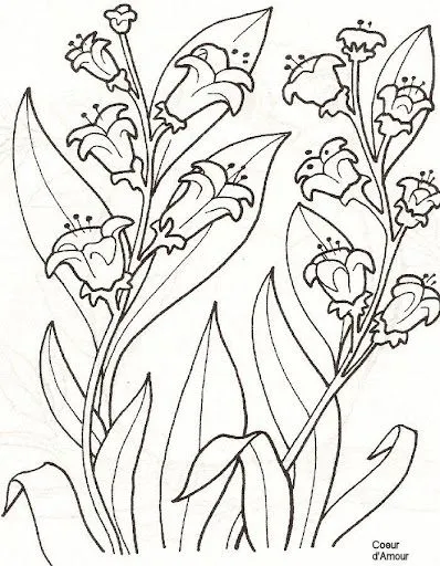 DIBUJOS DE PRECIOSOS MOMENTOS ENMARCADOS PARA COLOREAR
