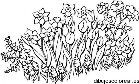 Dibujo de un jardín de rosas | Dibujos para Colorear