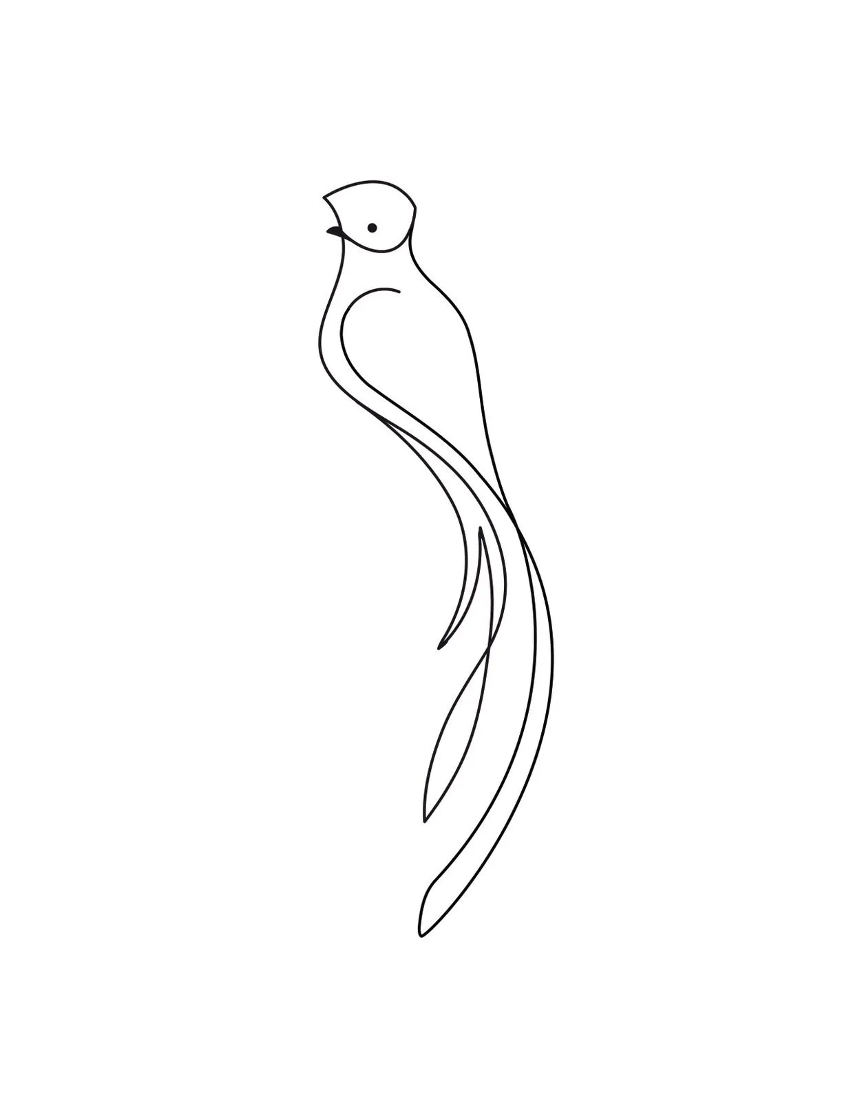 Dibujo de un Quetzal - Imagui