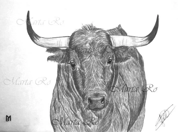 Mis dibujos "toros y caballos" on Pinterest | Pintura, Pastel and ...