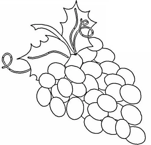 Imagen de un racimo de uva para colorear - Imagui Imagen de un racimo de uva para colorear - Imagui