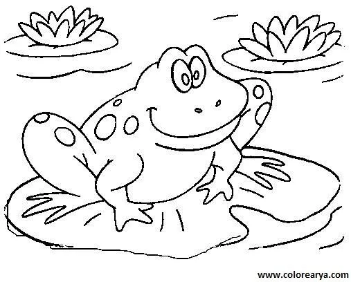 Dibujos de ranas para colorear | Colorear imágenes Dibujos de ranas para colorear | Colorear imágenes