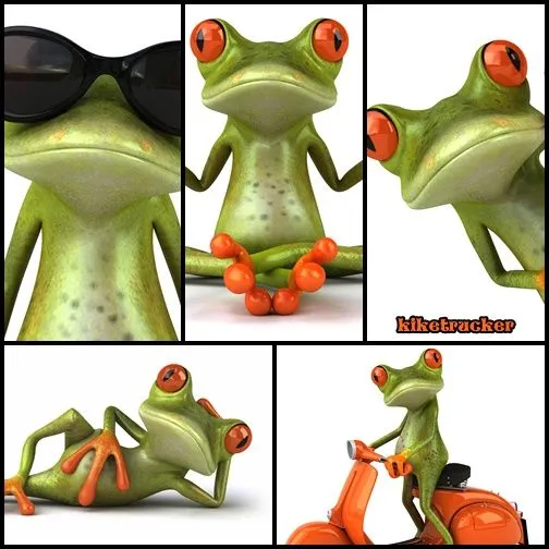 Dibujos ranas divertidas - Imagui