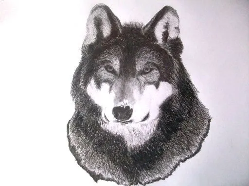 Dibujos realistas a lápiz!!!! | Aprender manualidades es facilisimo. Dibujos realistas a lápiz!!!! | Aprender manualidades es facilisimo.