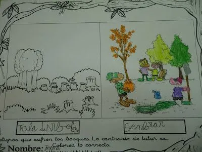 Los enanitos de mi cole: CUANDO UN BOSQUE MUERE Los enanitos de mi cole: CUANDO UN BOSQUE MUERE