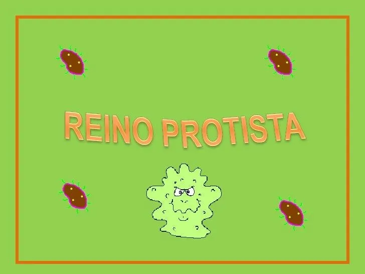Dibujos del reino protista para colorear - Imagui Dibujos del reino protista para colorear - Imagui