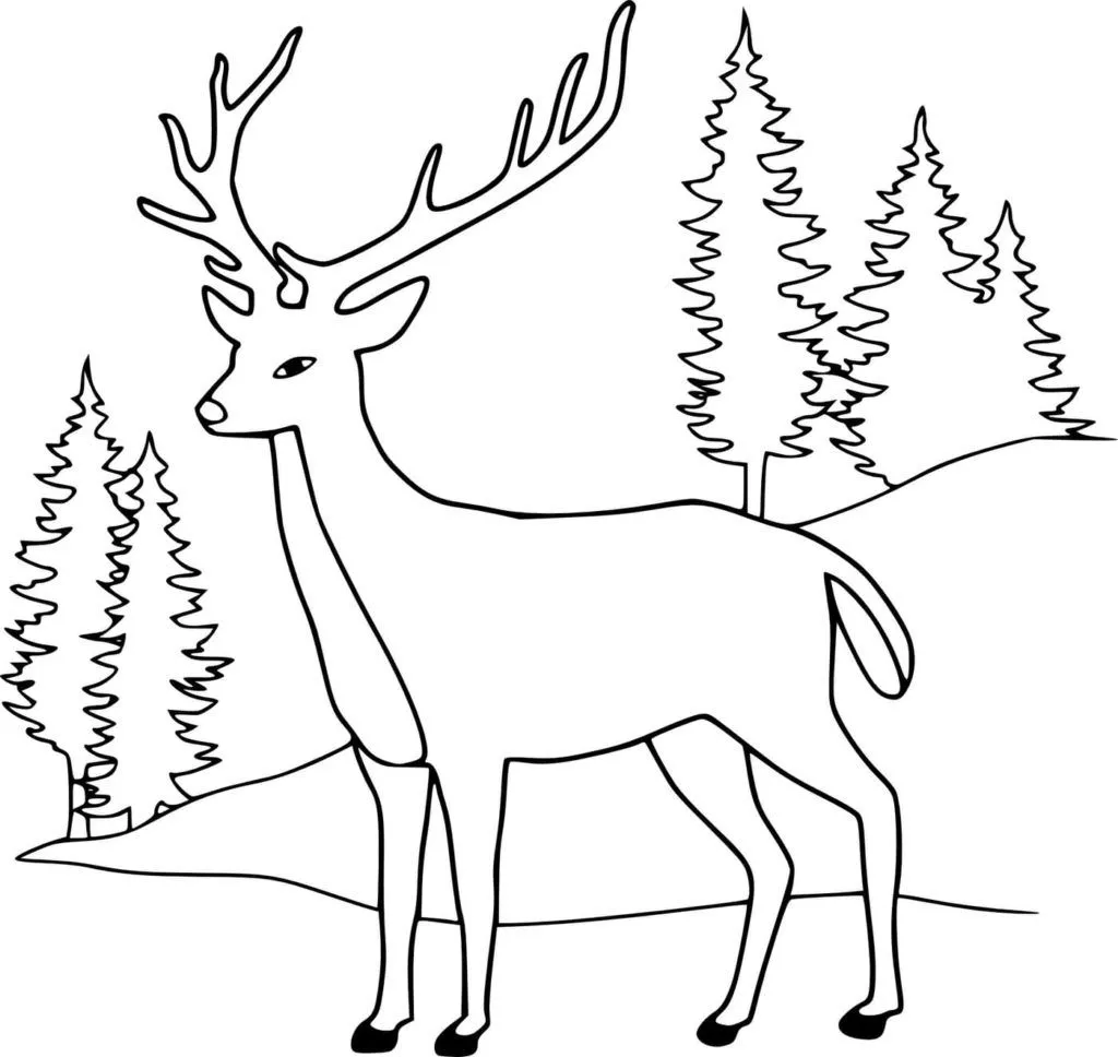 Dibujos de Renos de Navidad para Colorear | WONDER DAY — Dibujos para  colorear para niños y adultos