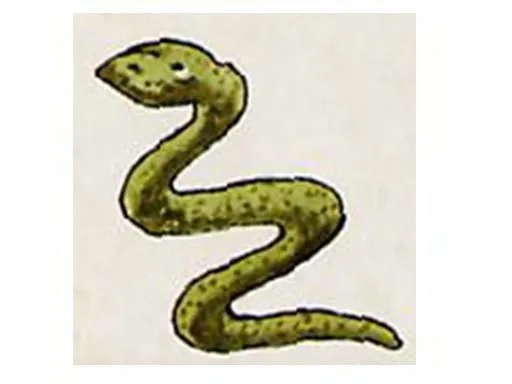 DIBUJOS DE REPTILES PARA IMPRIMIR