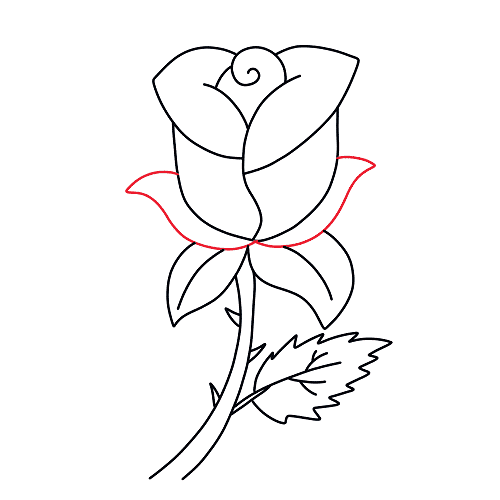 Dibujos de Rosa - Cómo dibujar Rosa paso a paso