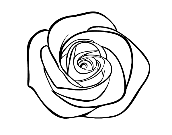 Dibujos de rosas