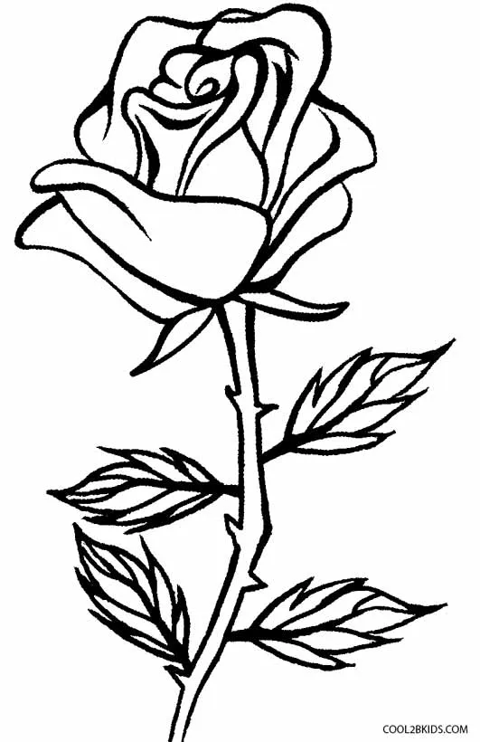 Dibujos de Rosas para colorear - Páginas para imprimir gratis