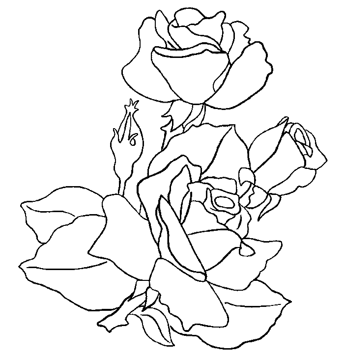 Dibujos de rosas. Dibujos para colorear de rosas. Dibujos infantiles ... Dibujos de rosas. Dibujos para colorear de rosas. Dibujos infantiles ...