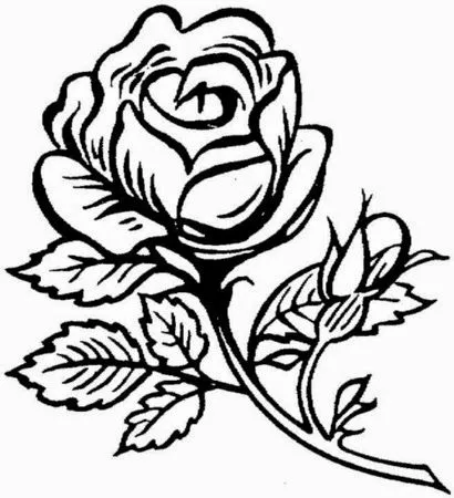 Dibujos de rosas con espinas para colorear - Imagui