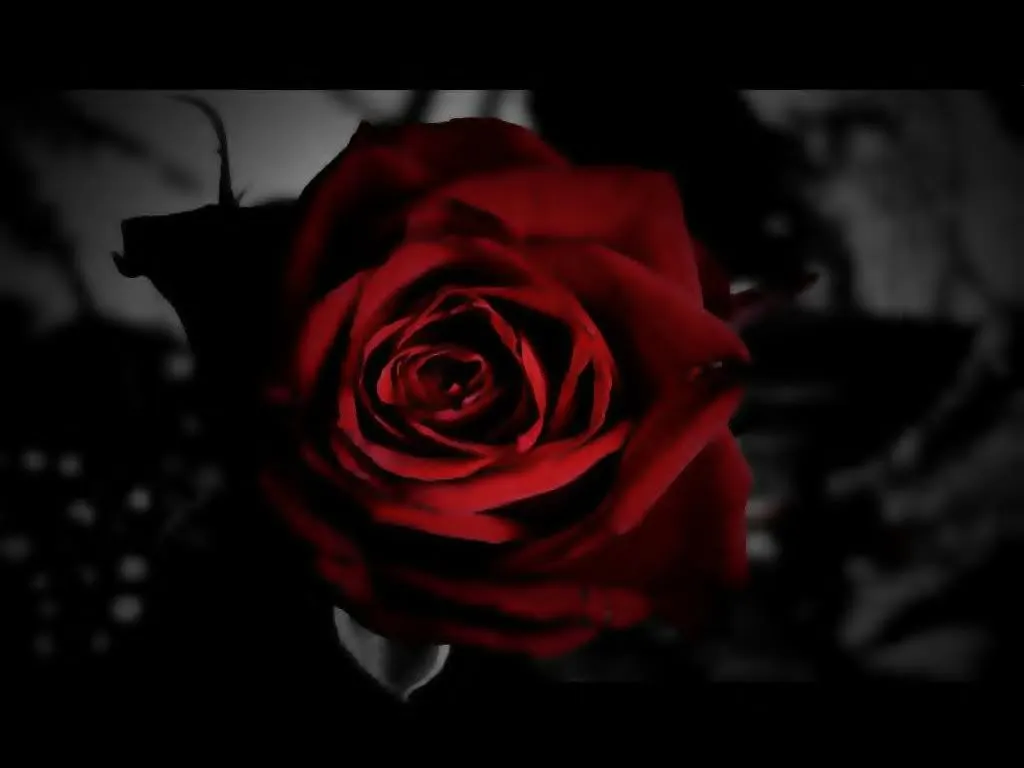 Dibujos de rosas goticas - Imagui