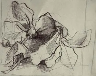 Dibujos de rosas a lapiz