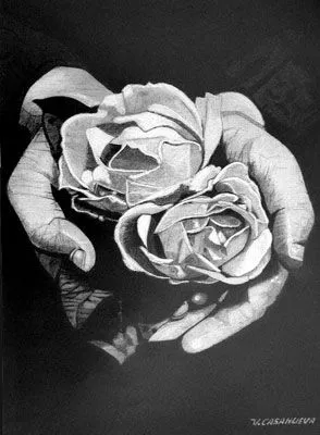 Dibujos rosas a lapiz - Imagui