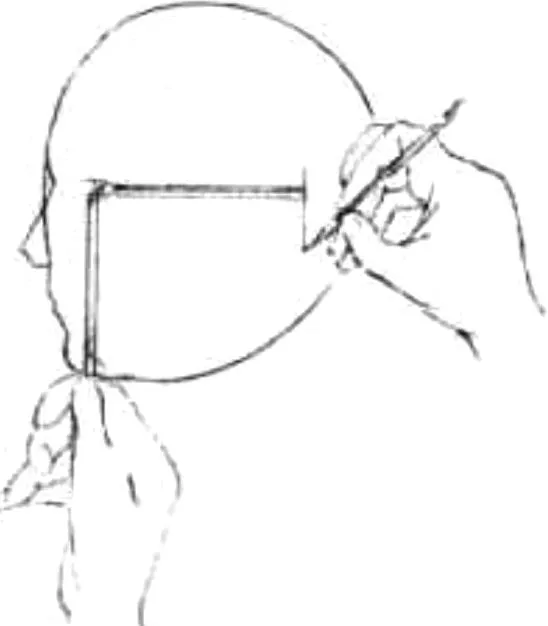 Dibujos de rostros de perfil - Imagui