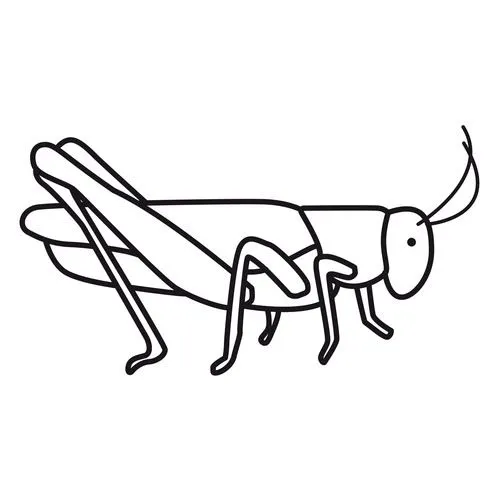 DIBUJOS DE SALTAMONTES PARA COLOREAR