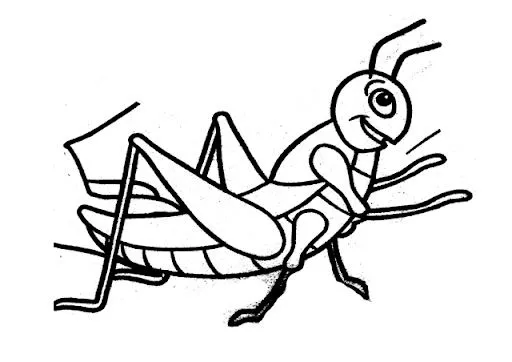 DIBUJOS DE SALTAMONTES PARA COLOREAR | Dibujos para colorear DIBUJOS DE SALTAMONTES PARA COLOREAR | Dibujos para colorear