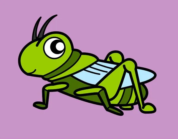 Dibujos de Saltamontes para Colorear - Dibujos.net Dibujos de Saltamontes para Colorear - Dibujos.net