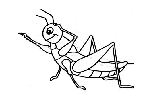DIBUJOS DE SALTAMONTES PARA COLOREAR