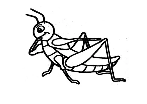 DIBUJOS DE SALTAMONTES PARA COLOREAR | Dibujos para colorear DIBUJOS DE SALTAMONTES PARA COLOREAR | Dibujos para colorear