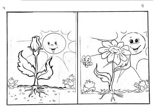Dibujos de semillas para colorear - Imagui