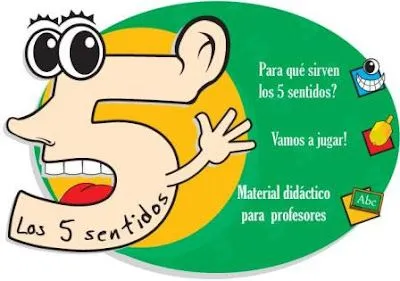 5 SENTIDOS para niños