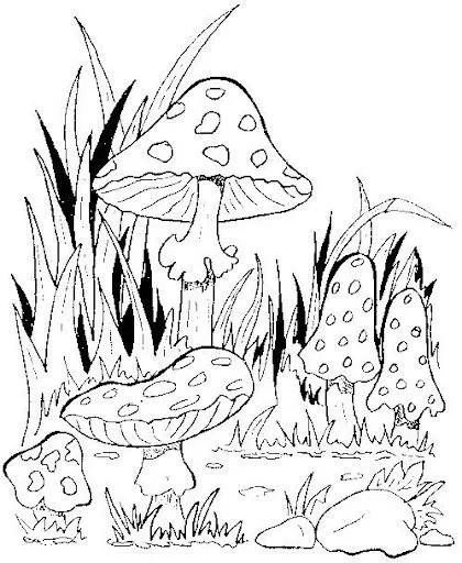 DIBUJOS DE SETAS PARA COLOREAR