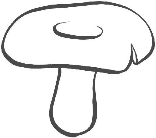 DIBUJOS DE SETAS PARA COLOREAR