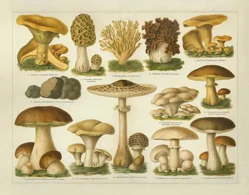 Dibujos de setas para imprimir - Imagenes y dibujos para ... Dibujos de setas para imprimir - Imagenes y dibujos para ...