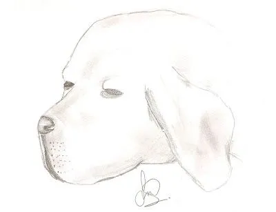 ... color de un paisaje de un lugar cuyo nombre ignoro buzz mi perro ... color de un paisaje de un lugar cuyo nombre ignoro buzz mi perro