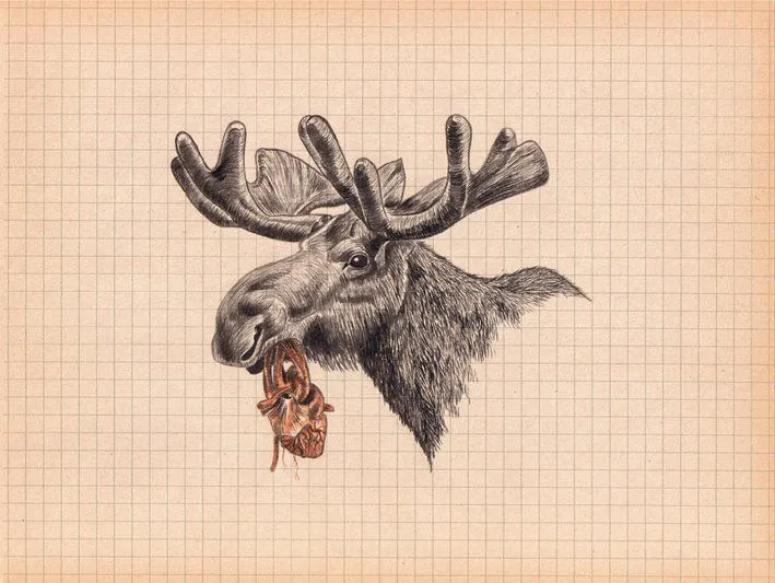 Los dibujos de Tamara Feijoo