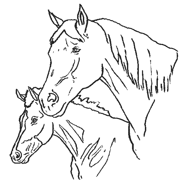 Cariccaturas de caballos nuevas - Imagui