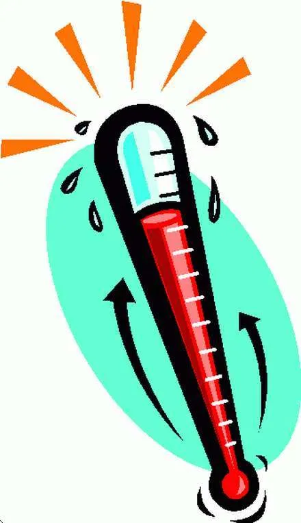Temperatura Corporal; Temperatura Orgánica