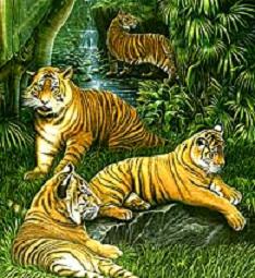 Dibujos de tigres. Dibujos infantiles para colorear de tigres Dibujos de tigres. Dibujos infantiles para colorear de tigres