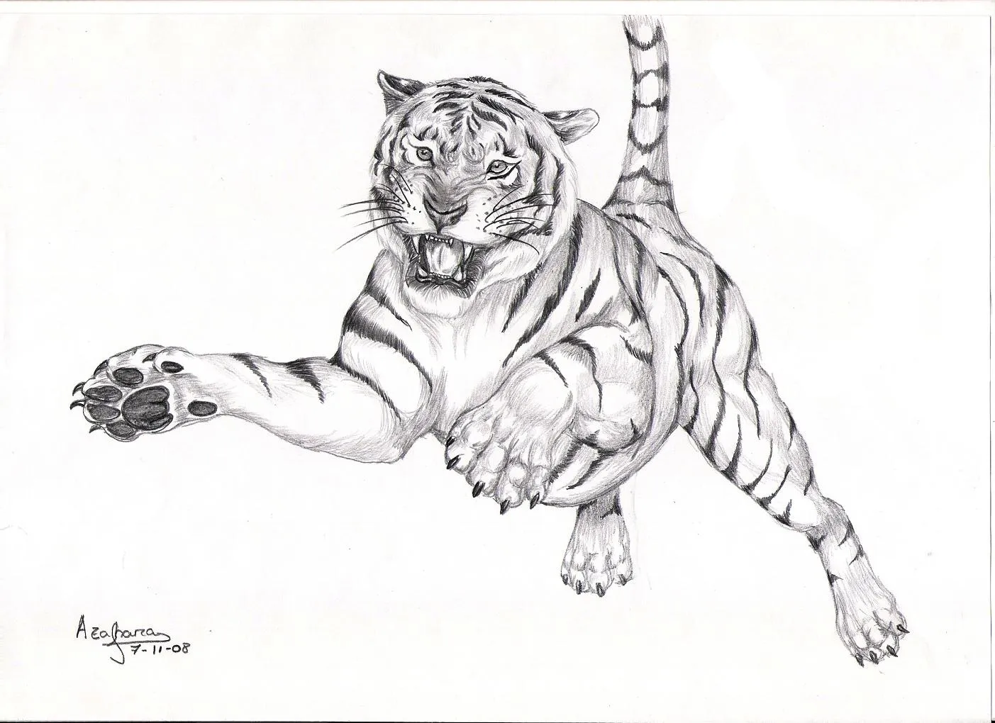 Dibujos De Tigres A Lapiz and post Dibujos De Tigres A Lapiz ... Dibujos De Tigres A Lapiz and post Dibujos De Tigres A Lapiz ...
