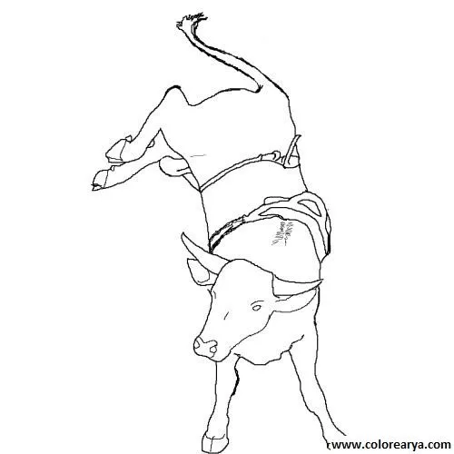 Dbujos de toros para colorear - Imagui