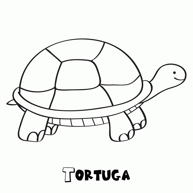 Dibujos de tortugas para colorear e imprimir Dibujos de tortugas para colorear e imprimir