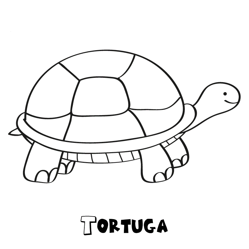 Dibujos de tortugas para colorear e imprimir Dibujos de tortugas para colorear e imprimir