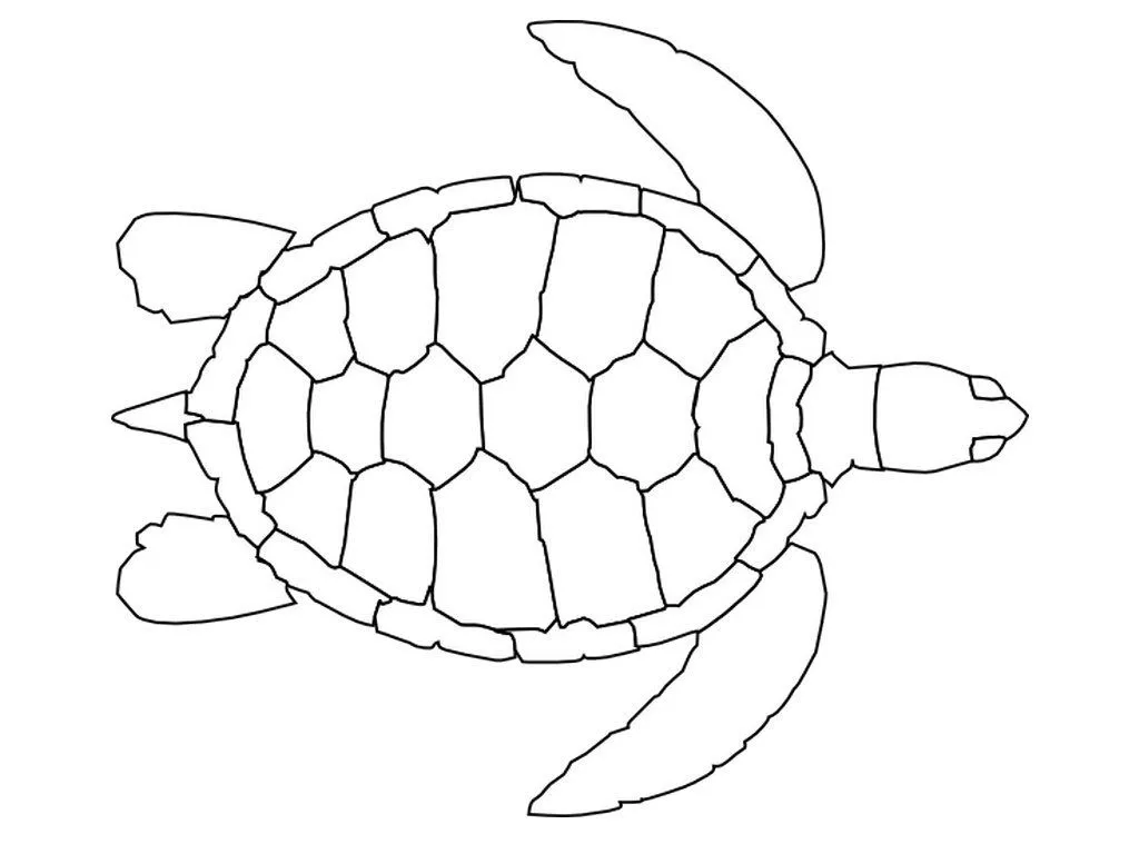 Dibujos de tortugas para colorear e imprimir Dibujos de tortugas para colorear e imprimir