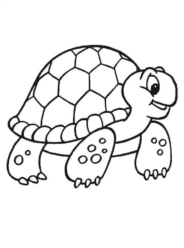 Dibujos de Tortugas Para Pintar y Colorear Gratis Dibujos de Tortugas Para Pintar y Colorear Gratis