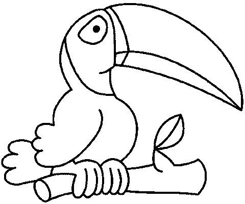 Dibujos de tucanes para imprimir - Imagui
