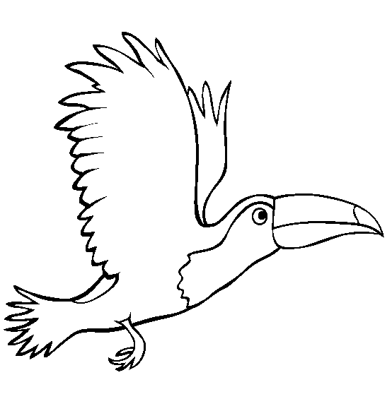 Dibujos de tucanes para imprimir - Imagui