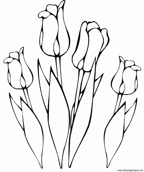 dibujo-flores-tulipanes-004 | Dibujos y juegos, para pintar y colorear dibujo-flores-tulipanes-004 | Dibujos y juegos, para pintar y colorear