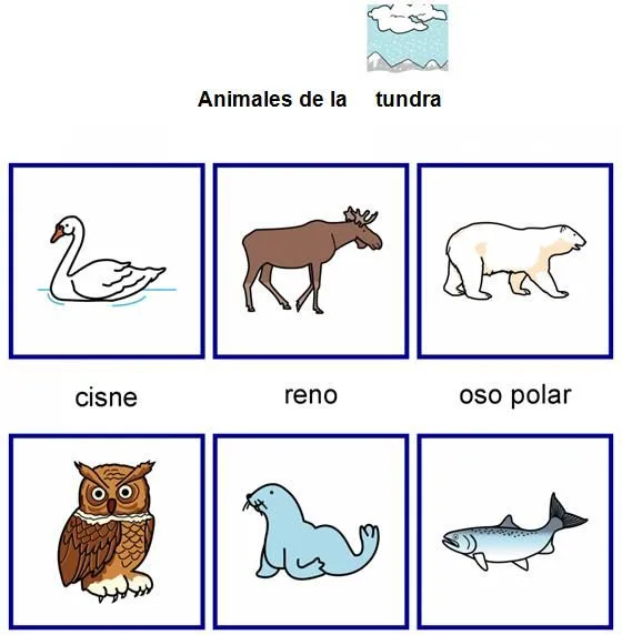 Dibujos de la tundra para colorear - Imagui