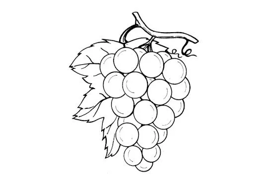 DIBUJOS DE UVAS PARA PINTAR | FICHAS PARA PINTAR | DIBUJOS PARA PINTAR DIBUJOS DE UVAS PARA PINTAR | FICHAS PARA PINTAR | DIBUJOS PARA PINTAR