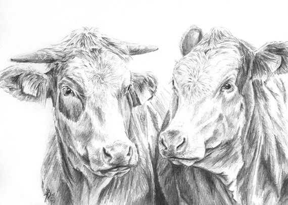 Retrato a lápiz dibujo vaca A4 21 x 29 ganado por StudioSterna Retrato a lápiz dibujo vaca A4 21 x 29 ganado por StudioSterna