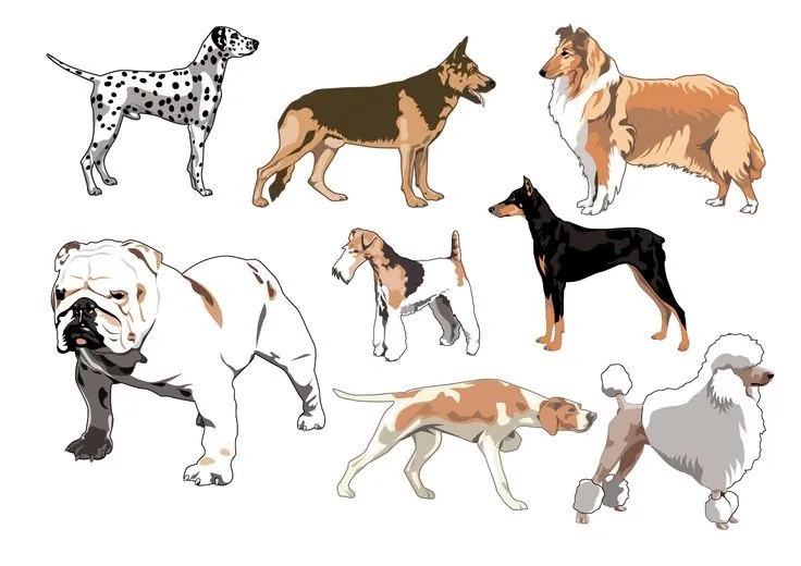 Dibujos vectoriales de distintos tipos de perros de raza. Están ...